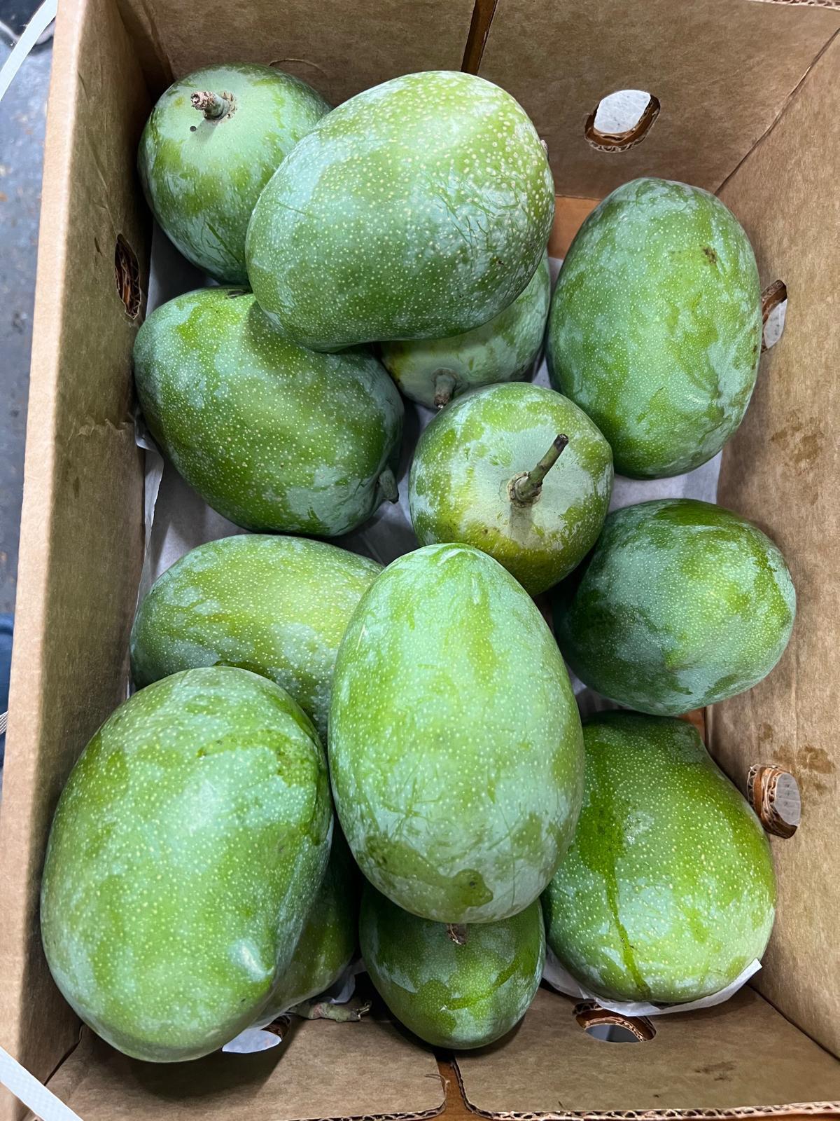 Rajapuri kachi mangoes